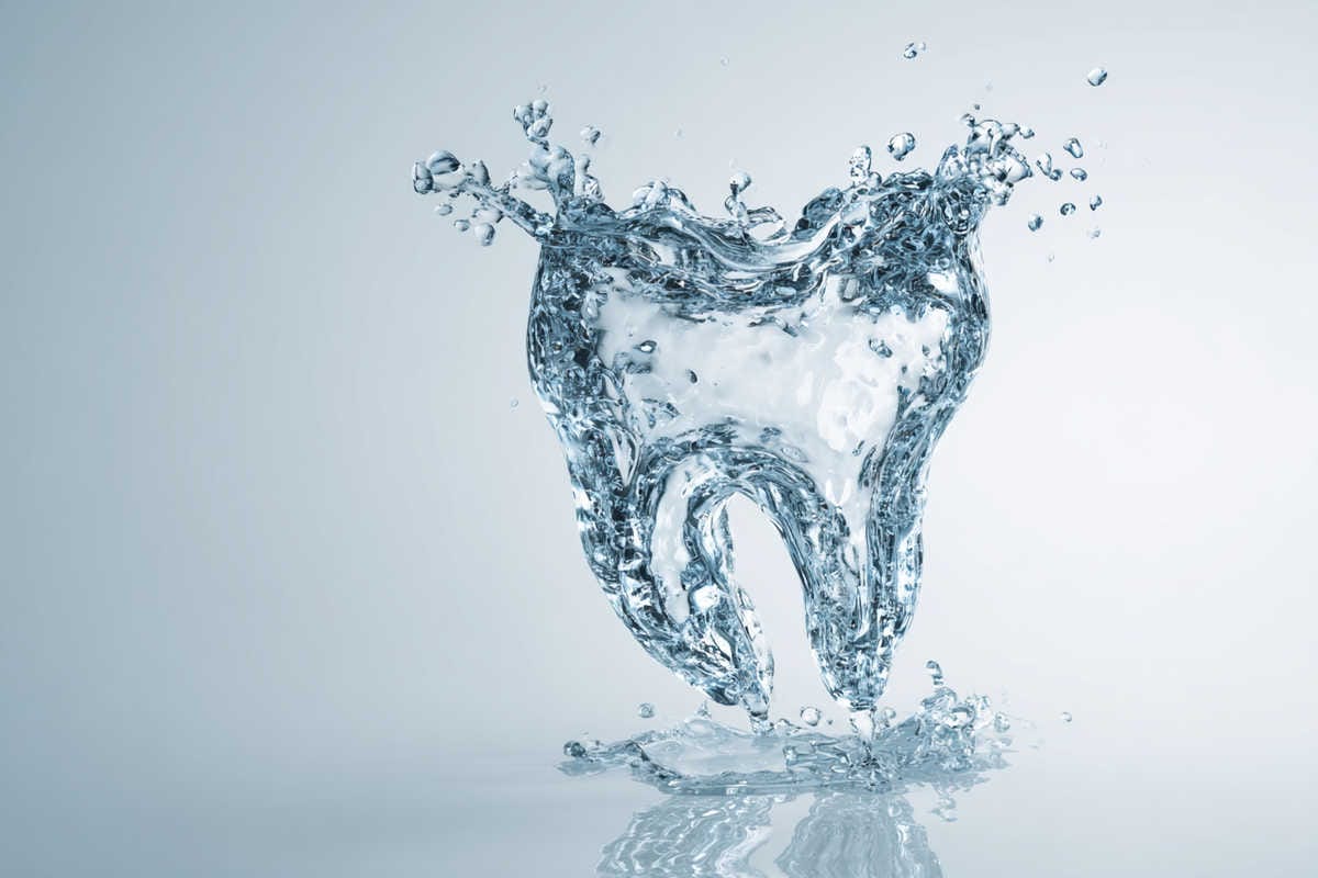 Zonas de anclaje basal (infografía divulgativa) Zonas de anclaje basal (infografía divulgativa)